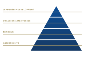 Levels of developing a leader graphic