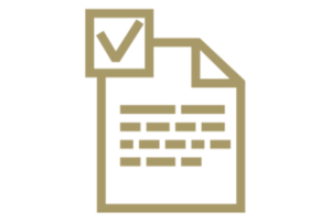 icon of a selected document